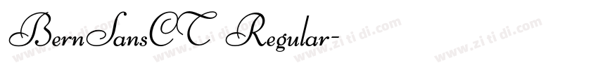 BernSansCT Regular字体转换 BernSansCT Regular字体转换